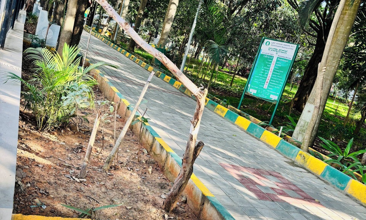 Arekere House | 2 BHK Next to the Beautiful Park - 201