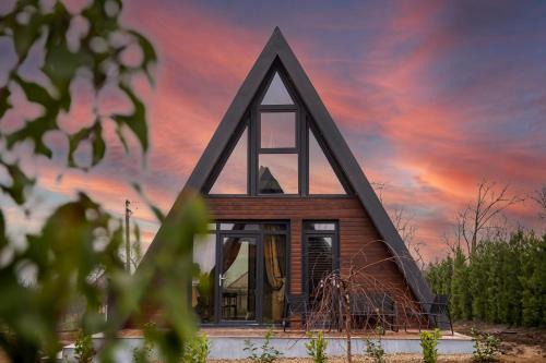 Herneacova Ski Chalet | A-frame Dor De Aer