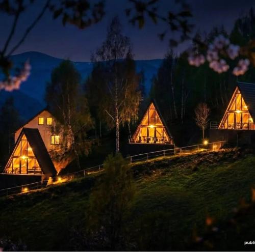 Bran Cabin | A-frame Muchia Scortii