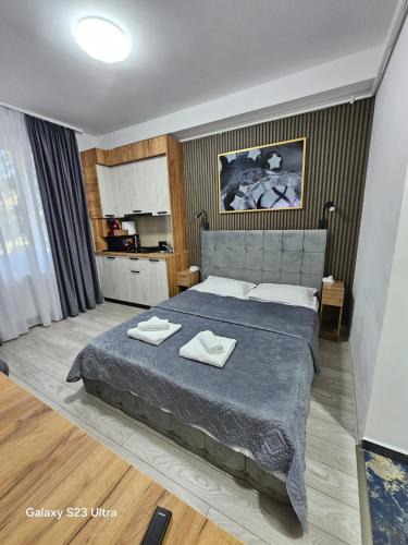Onesti Apartment | AchiDav 133