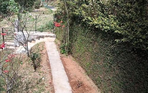 Kodaikanal Villa | Adonya Cottage