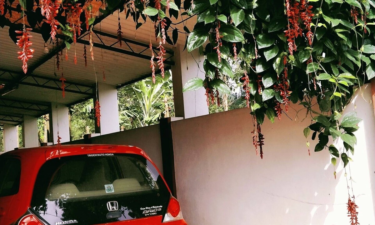 Chikkamagaluru House | AGALAGANDI HOMESTAY