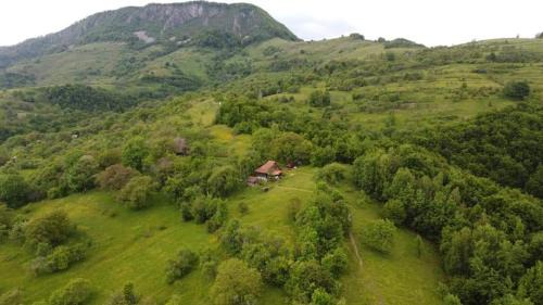 Blajeni House | Almost Heaven - cabană cu vedere în Apuseni