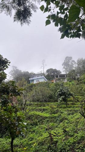 Kanthalloor House | Alpine Fruits Dale Kanthalloor