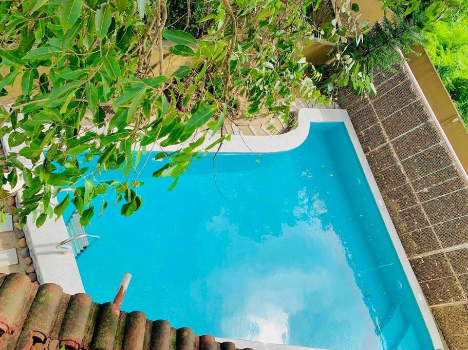 Oxel Villa | Amarelo Goa