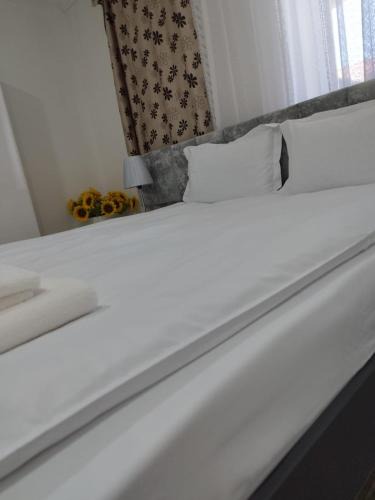 Ocna Mures Apartment | AME Home 2