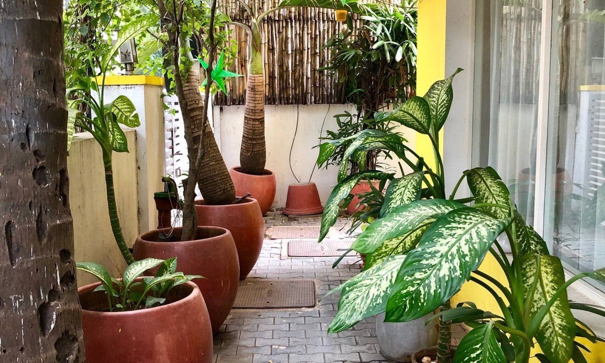 Mylapore Tiruvallikk Hotel | Annsun Boutique Hotel