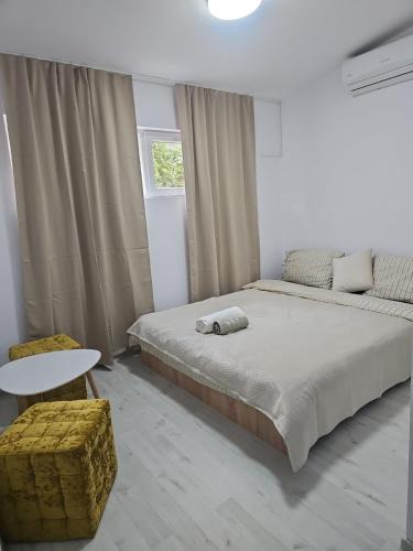 Arad Apartment | Apartament cu viziune, parcare fără plata, check in Non Stop
