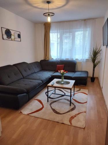 Tirgu Ocna Apartment | Apartament DANIA & PETRU