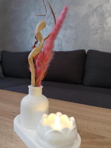 Selimbar Apartment | Apartament Royal