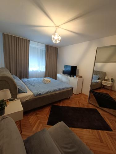 Turda Apartment | Apartament Santi