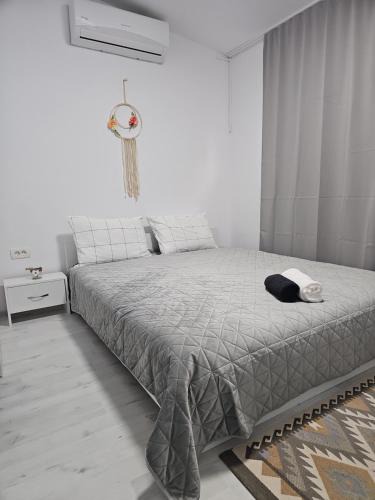 Arad Apartment | Apartament superb, parcare fără plata, check in NON STOP