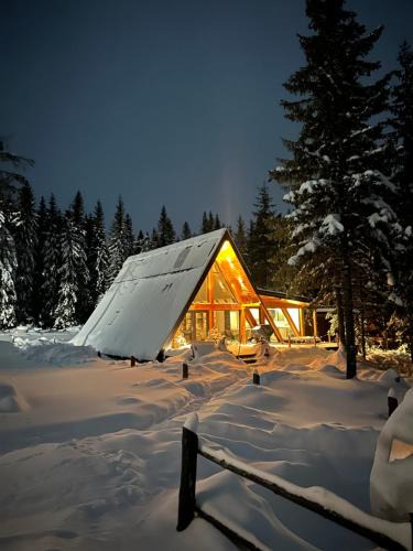 Valea Ierii Ski Chalet | Arenis