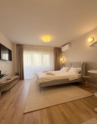Bucharest Apartment | AXA Central Studio - Tineretului
