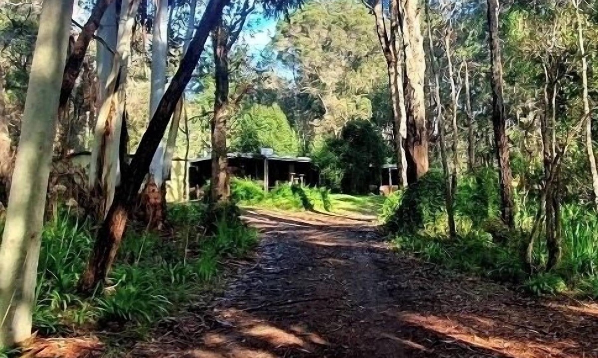 Denmark House | Beautiful, relaxing bush environment, walking distance to town centre