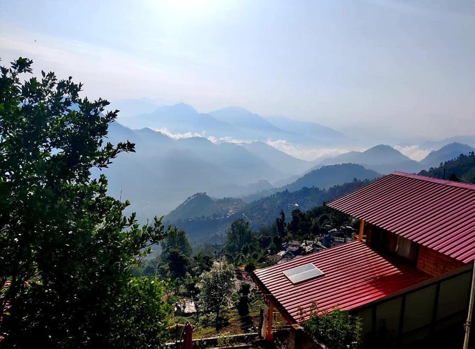 Shivanandi House | Birdsong & Beyond