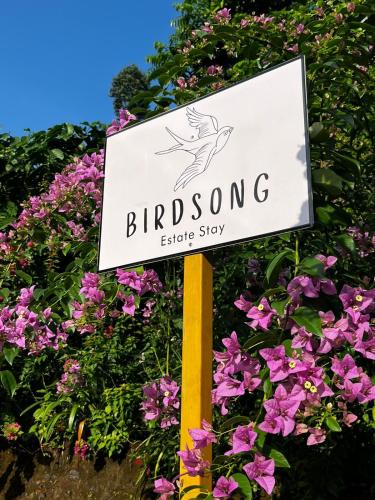 Virarajendrapet House | Birdsong Coffee Estate Stay