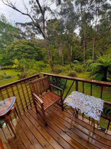 Hazelbrook Apartment | Blue Mountains Ferncreek Studio Retreat, pet friendly, birds and bush