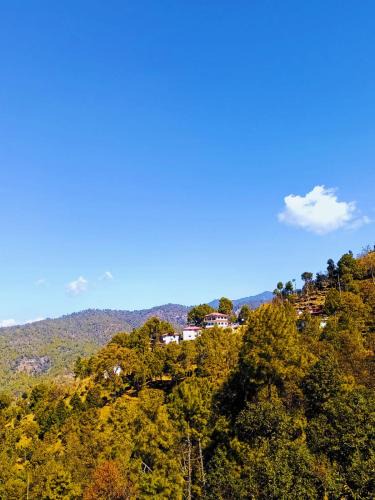 Almora Hotel | Boros Resorts Binsar