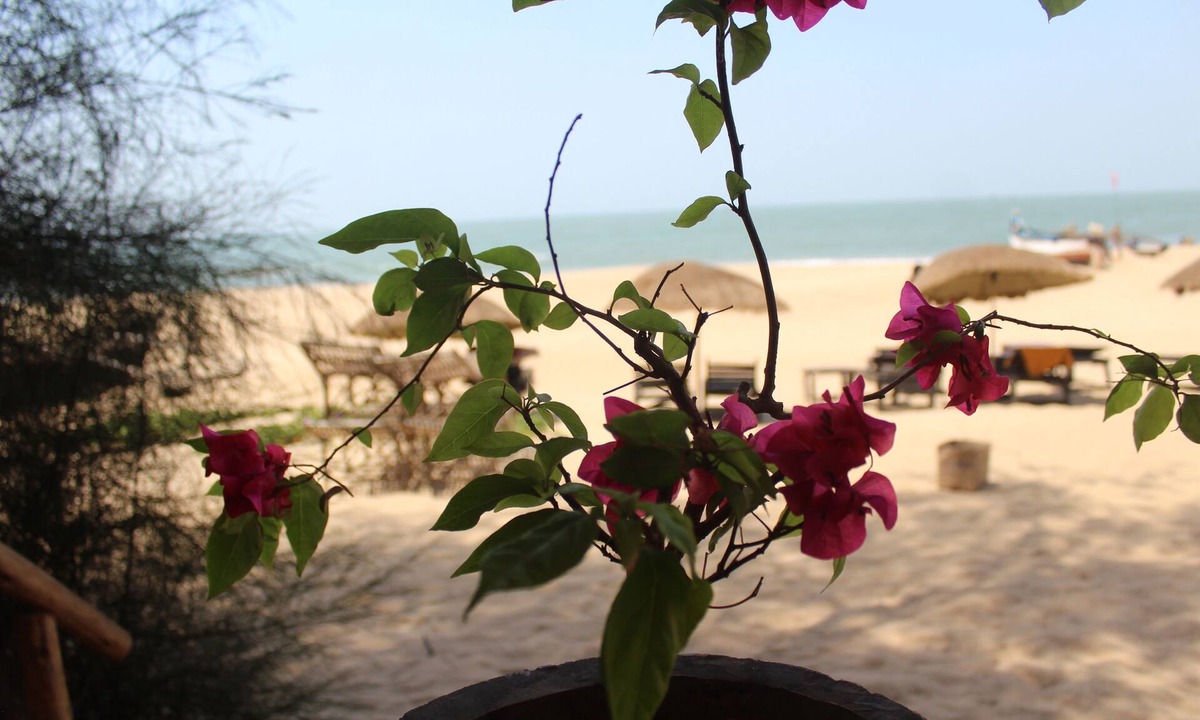Palolem Cottage | Bougainvilleapatnem beautiful eco friendly cottages