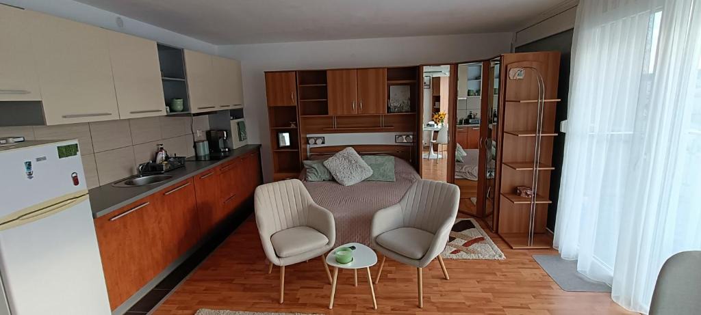 Emanoil Gojdu Apartment | Brown Studio MV