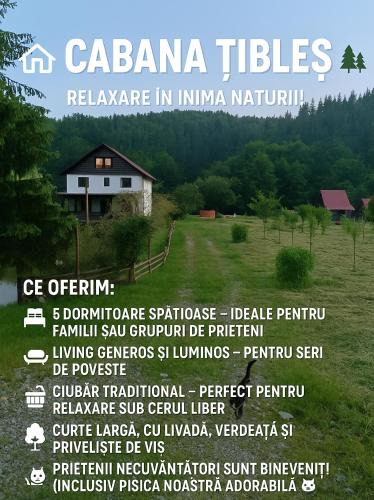 Cosbuc House | Cabana Țibleș