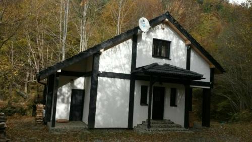Turnu Rosu Cabin | Cabana Crenguta