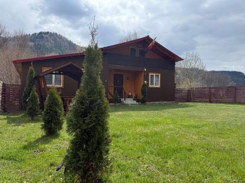 Tarcau Cabin | Cabana lucia