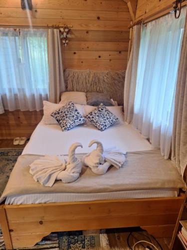 Campulung Moldovenesc House | Cabana Plaiul Bucovinei