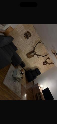 Comandau House | Cabana Trofelor