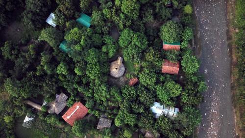 Bail Parao Other | Camp Hornbill Corbett