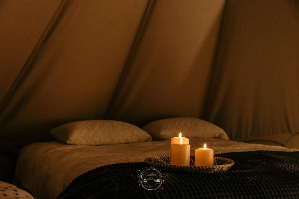 Vest Other | Carul cu Stele-Glamping
