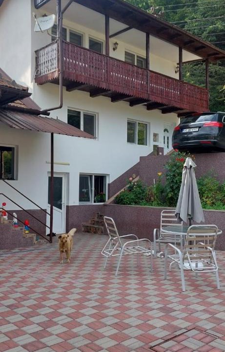 Brezoi House | Casa ALBERT