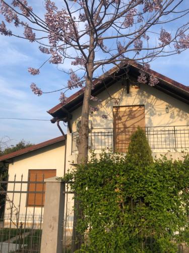 2 Mai Villa | Casa Andrei