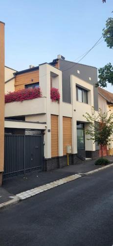 Tirgu Mures House | Casa Belsugului
