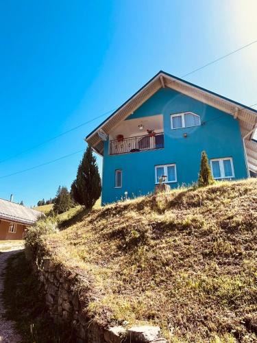 Damuc House | Casa Butunoi
