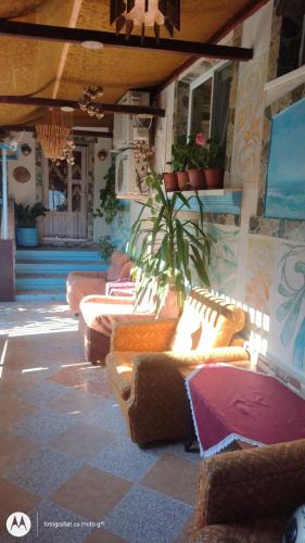 Sulina Bed & Breakfast | Casa de vacanta ,Puiu & Nelly,