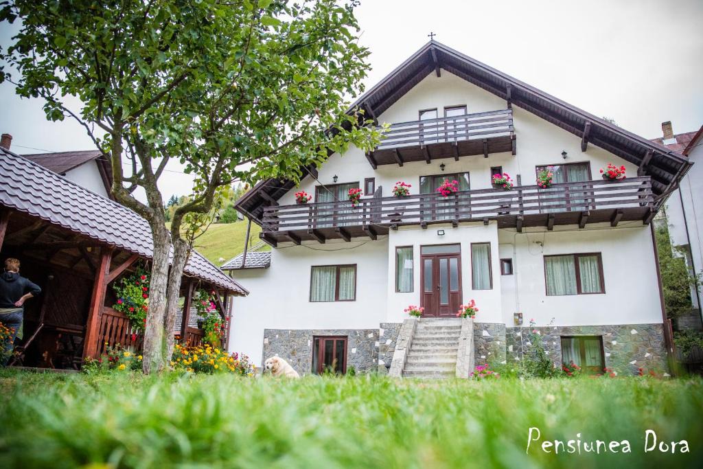 Moeciu de Sus House | Casa Dora
