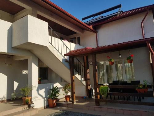 Sulina House | CASA DRAGON