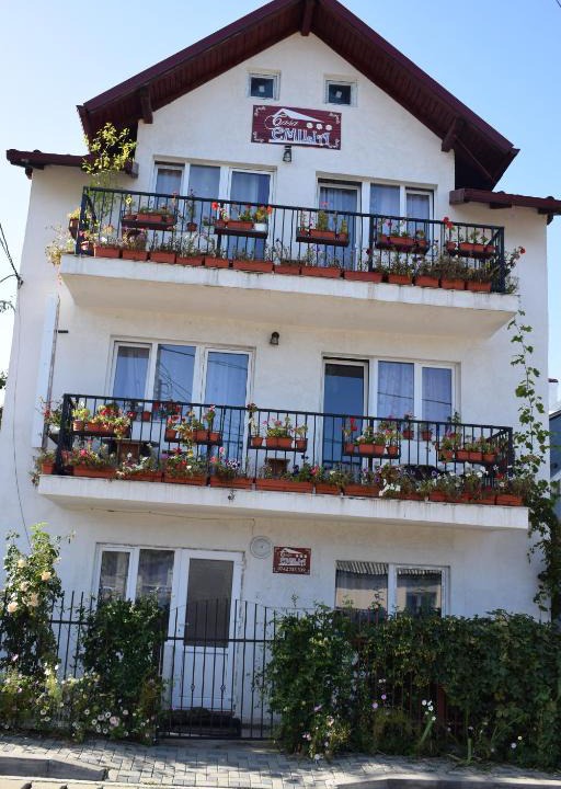 Vatra Dornei House | Casa Emilia