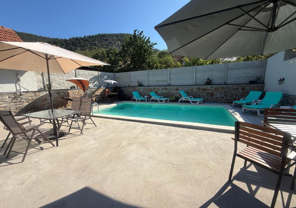 Svinita House | Casa Ilici
