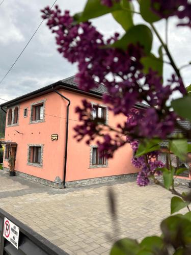 Campulung Moldovenesc Apartment | Casa Rarăului