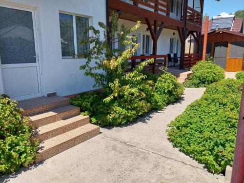 Sulina House | Casa Steaua de Mare
