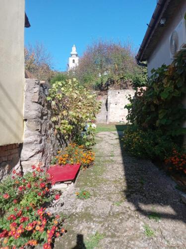Svinita House | Casa Turcoaz