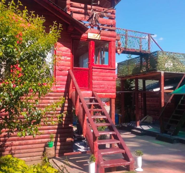 Arbore House | Casuta din padure-Clit