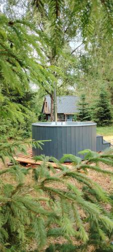 Risca Ski Chalet | Casuta dintre brazi