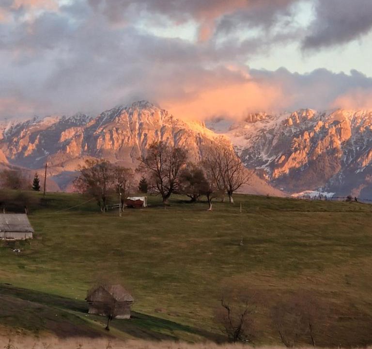 Sirnea Bed & Breakfast | Casuta Letitiei