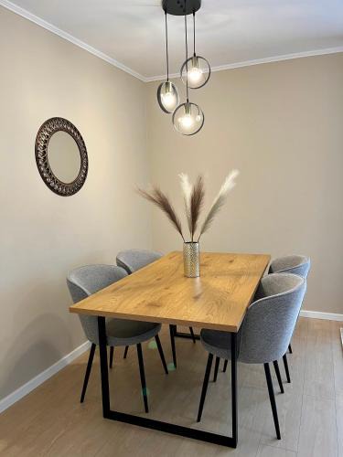 Tirgu Mures Apartment | Central Loft Mimozelor