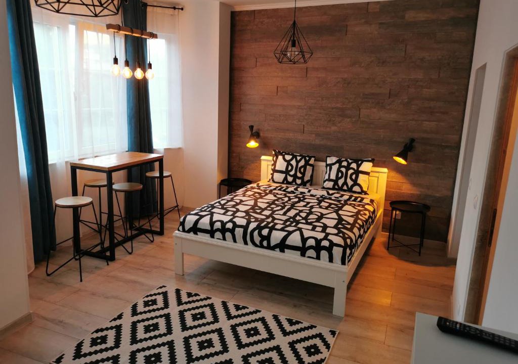 Petrosani Apartment | Central Park Studio Petrosani