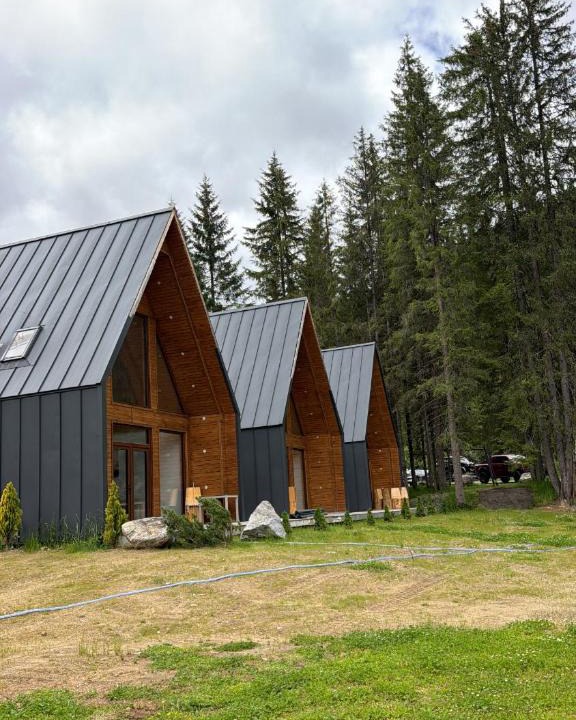 Obarsia Lotrului Ski Chalet | Chalets by Hotel Transalpin